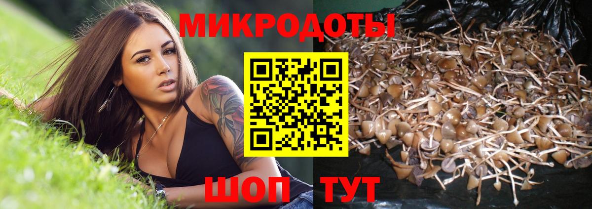 продажа наркотиков  Вход с VPN  Владивосток  Галлюциногенные грибы ЛСД 